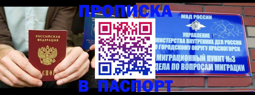 где прописаться в Волосово